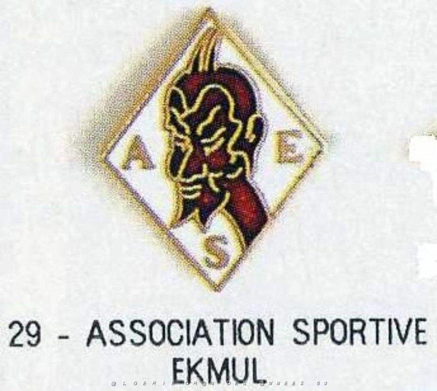 Insignes divers - 087.jpg